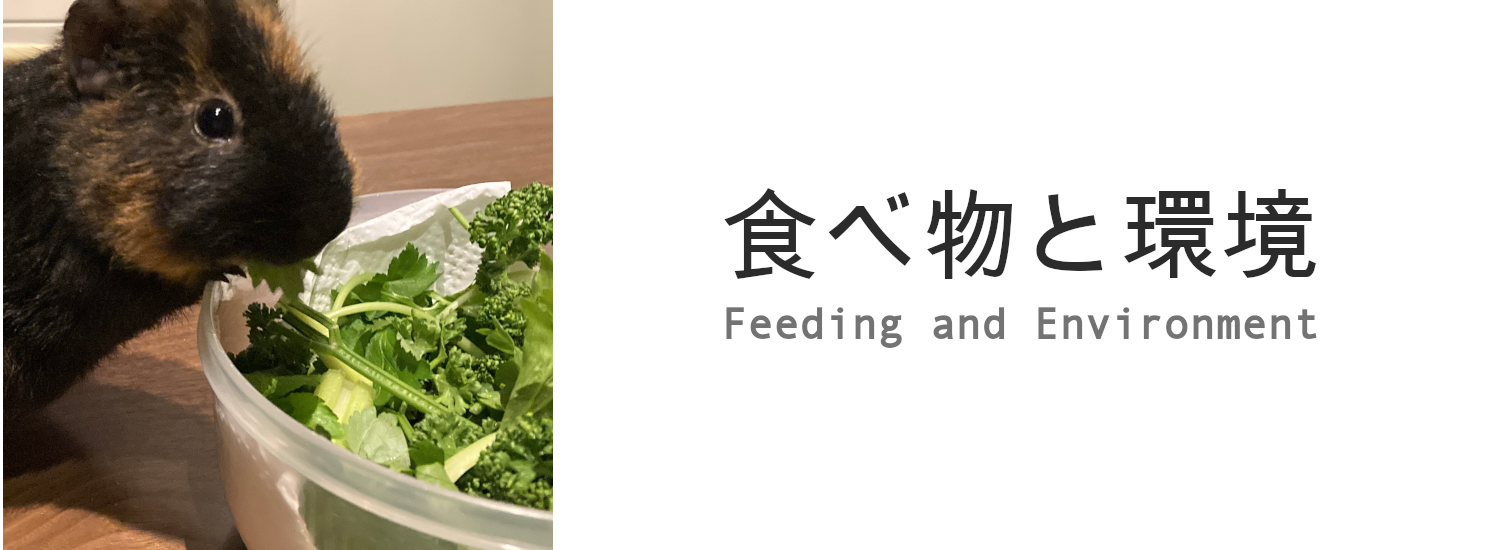 FE_img