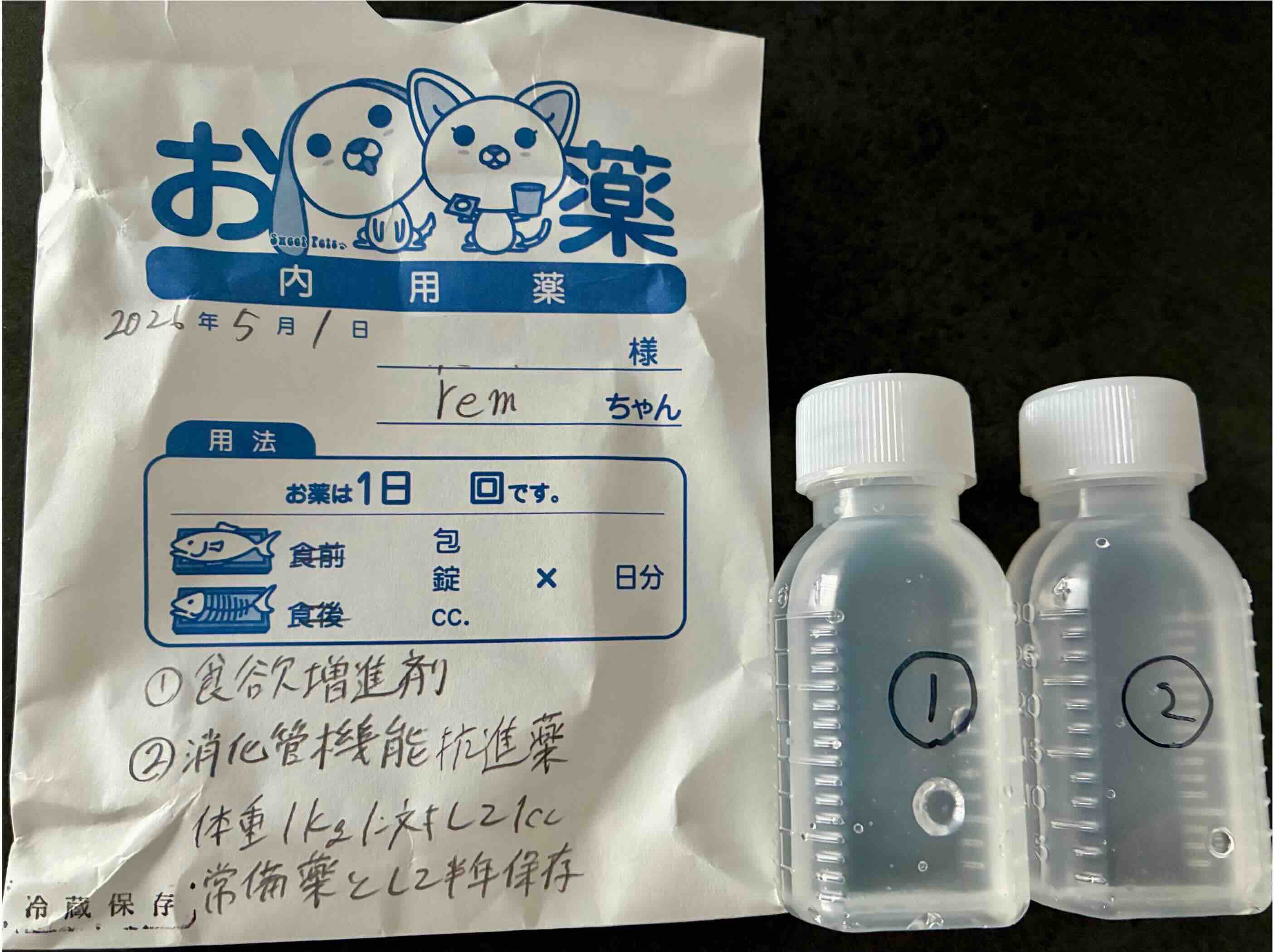 モルモットの定期検診