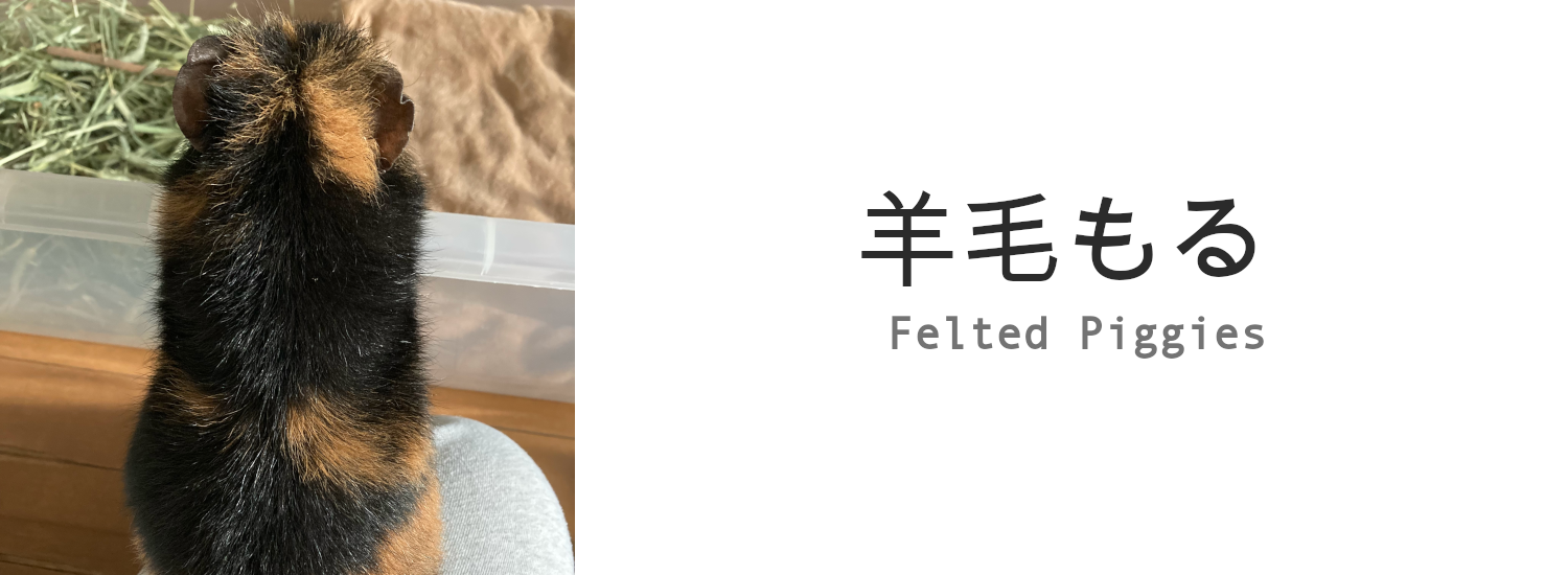 wool_img